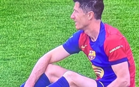 开云体育首页登陆-爆冷引发热议！，莱万多夫斯基在法国队比赛中锐不可当观众掌声雷动的简单介绍