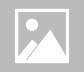 开云体育线上网站-捇?i粇礝M+慢鰾釦驺?